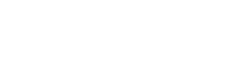 vyvoice logo white
